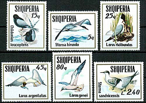 Албания 1973, Морские птицы, Чайки и крачки, рыба, 6 марок